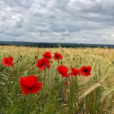 Tatil Evi Ferme De Filot 3 Hamoir