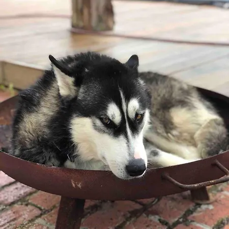 Ferme De Filot 3 Hamoir