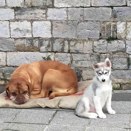 Ferme De Filot 3 Tatil Evi *